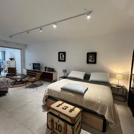 Spacieux Renove Avec Terrasse Et Parking Prive - Fr-1-374-99