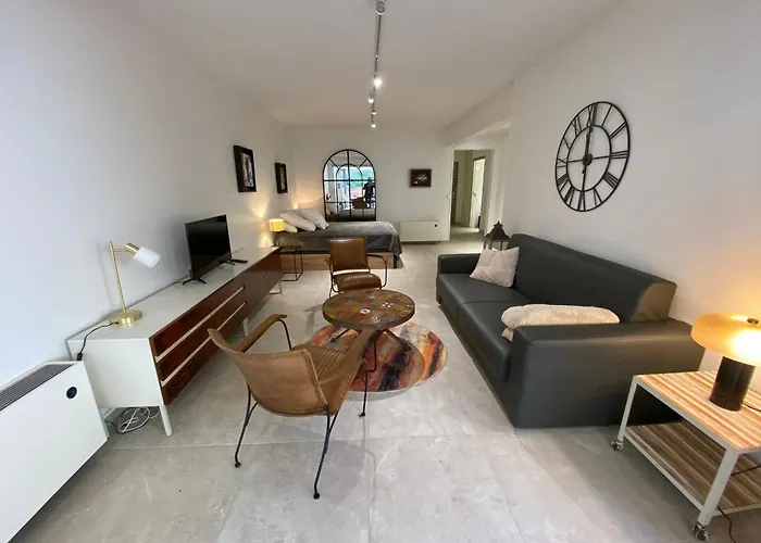 Lejlighed Spacieux Renove Avec Terrasse Et Parking Prive - Fr-1-374-99